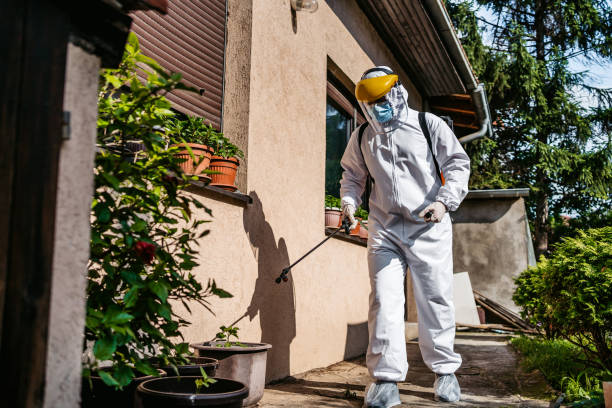 Reliable Hotchkiss, CO Pest Control Solutions