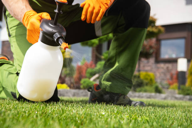 Best Mosquito Control Services  in Hotchkiss, CO