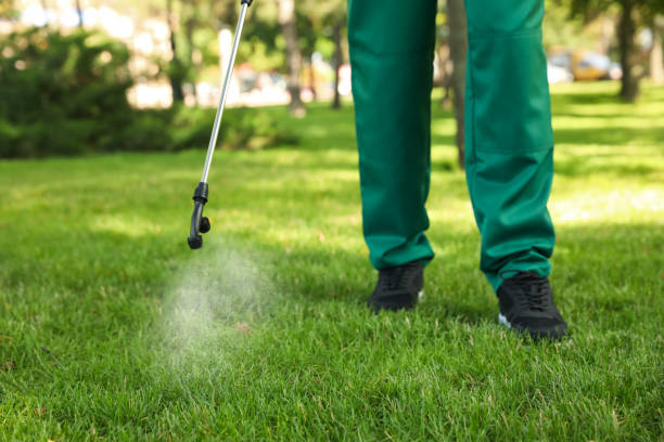 Best Rat Extermination Near Me  in Hotchkiss, CO