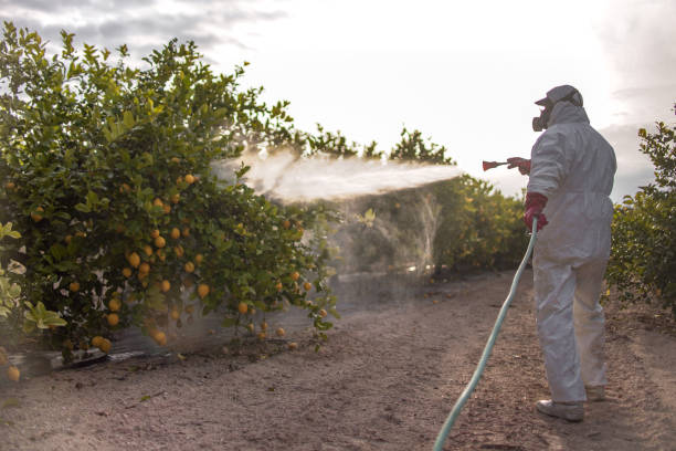 Pest Control for Restaurants in Hotchkiss, CO