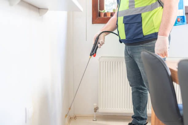 Best Pest Control for Homes  in Hotchkiss, CO