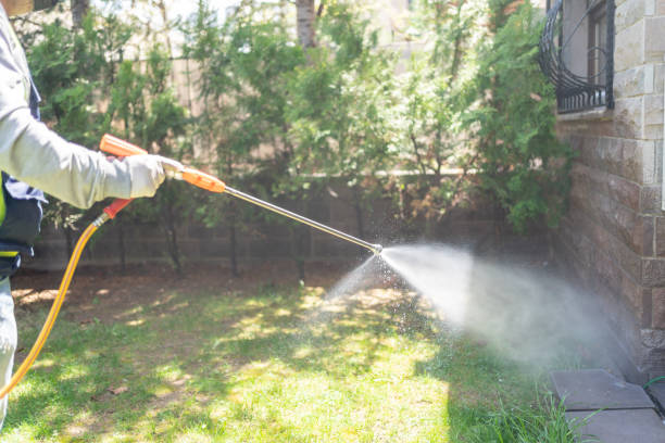 Best Residential Pest Control  in Hotchkiss, CO